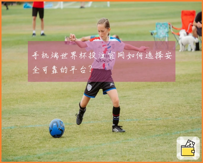 手机端世界杯投注官网如何选择安全可靠的平台？