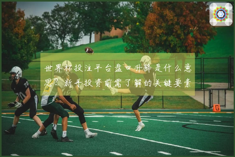 世界杯投注平台盘口升降是什么意思？新手投资前需了解的关键要素