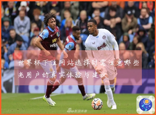 世界杯下注网站选择时需注意哪些老用户的真实体验与建议