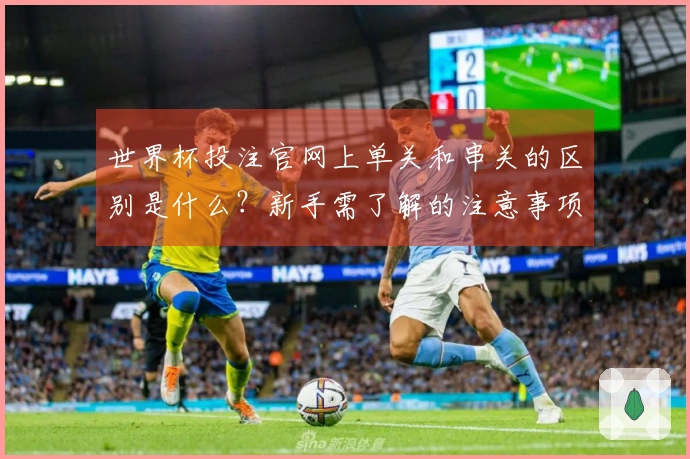 世界杯投注官网上单关和串关的区别是什么？新手需了解的注意事项