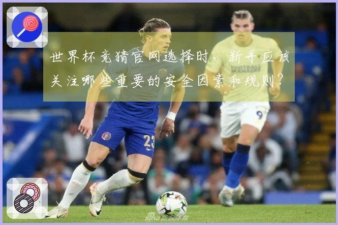世界杯竞猜官网选择时，新手应该关注哪些重要的安全因素和规则？