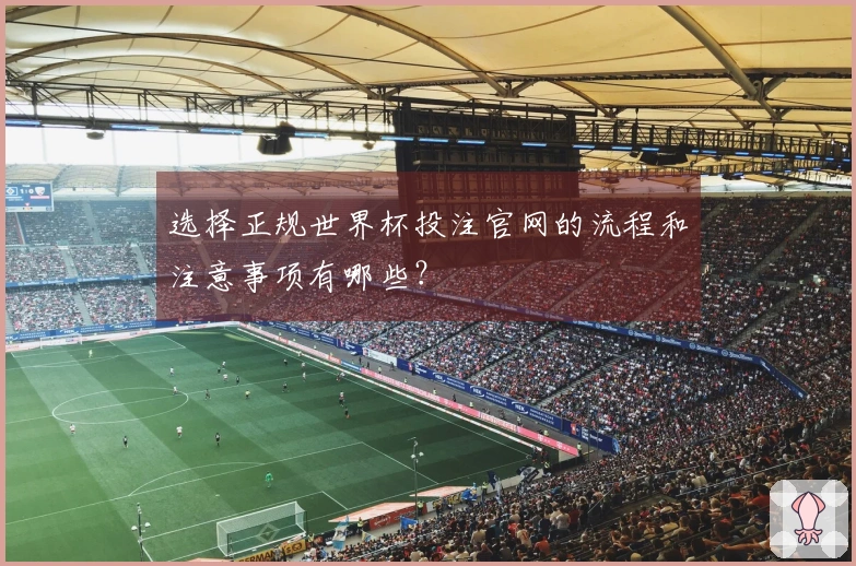 选择正规世界杯投注官网的流程和注意事项有哪些?