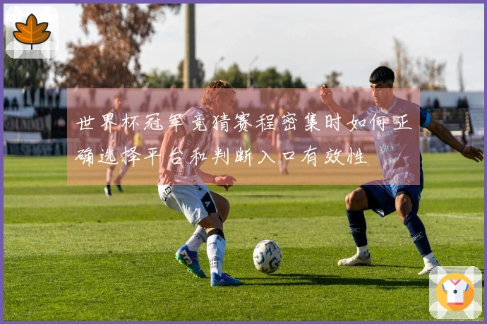 世界杯冠军竞猜赛程密集时如何正确选择平台和判断入口有效性