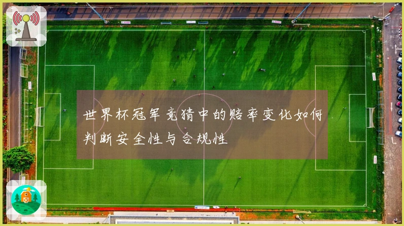 世界杯冠军竞猜中的赔率变化如何判断安全性与合规性