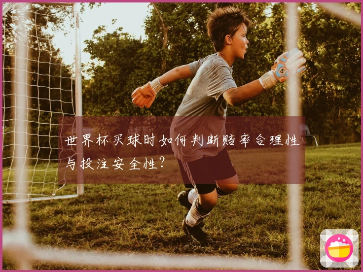 世界杯买球时如何判断赔率合理性与投注安全性？