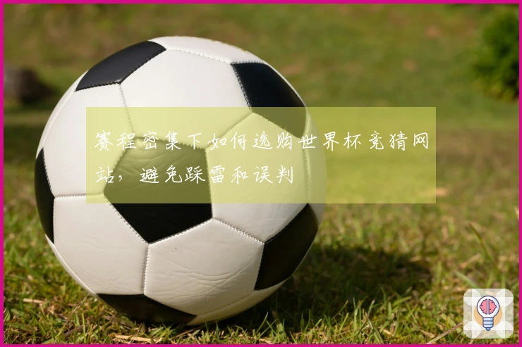 赛程密集下如何选购世界杯竞猜网站，避免踩雷和误判