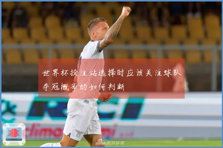 世界杯投注站选择时应该关注球队夺冠概率的如何判断