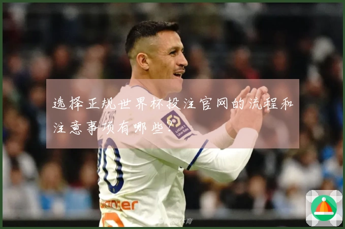 选择正规世界杯投注官网的流程和注意事项有哪些？