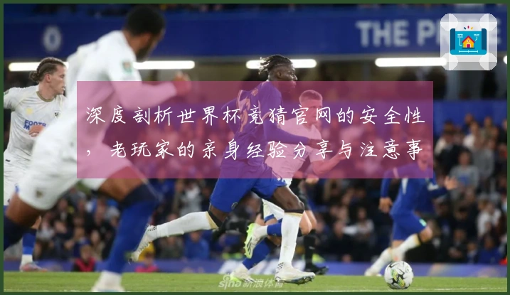 深度剖析世界杯竞猜官网的安全性，老玩家的亲身经验分享与注意事项