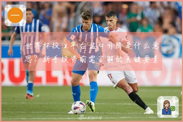 世界杯投注平台盘口升降是什么意思？新手投资前需了解的关键要素