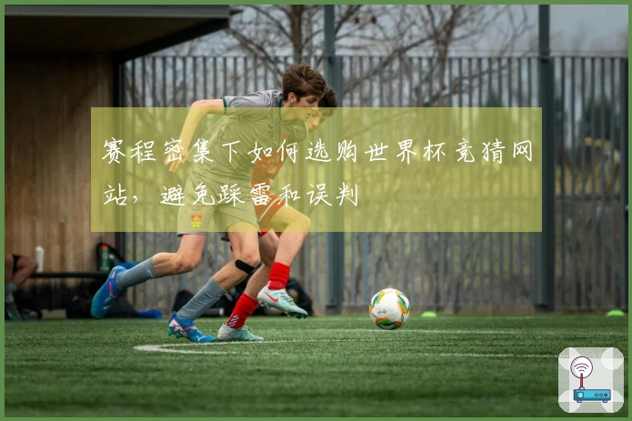 赛程密集下如何选购世界杯竞猜网站，避免踩雷和误判